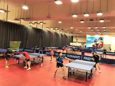 Singapore Table Tennis Association: Shaping the Future of Table Tennis in the Lion City