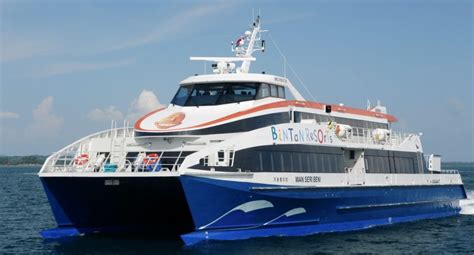 Singapore to Bintan Ferry: A Comprehensive 2025 Guide