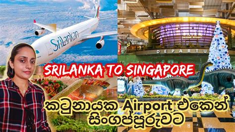 Singapore to Colombo Flight Ticket Price: Cheapest Fares and Essential Tips