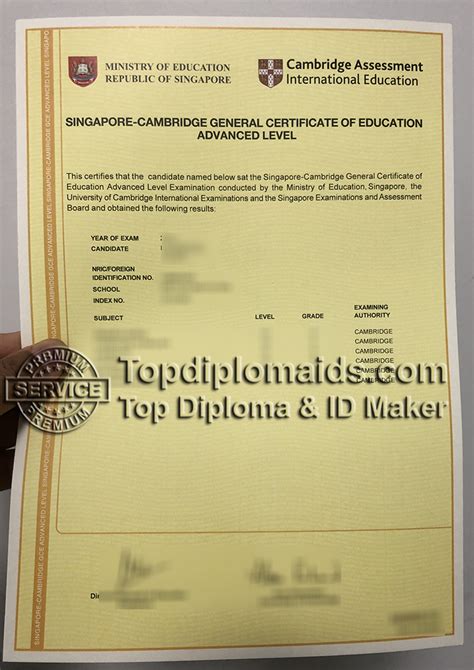 Singapore-Cambridge General Certificate of Education (GCE) 'N' Level