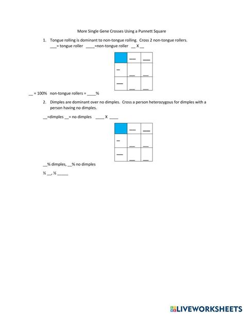 Single Trait Crosses Worksheet Answer Key PDF