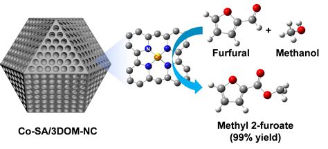 Single-Handed Catalysts: