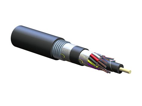 Single-mode fiber (SMF)