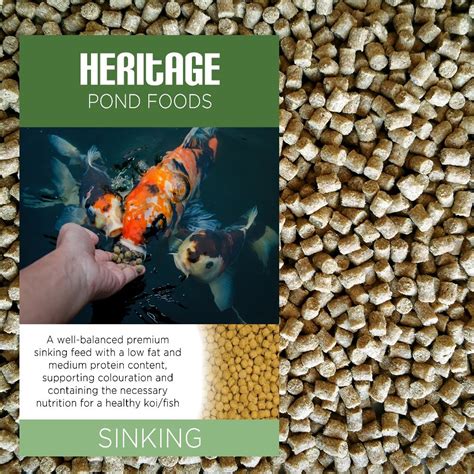 Sinking Fish Food Pellets: The Complete Guide to Feeding Your Fish