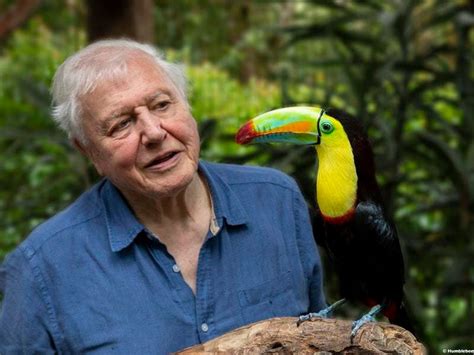 Sir David Attenborough