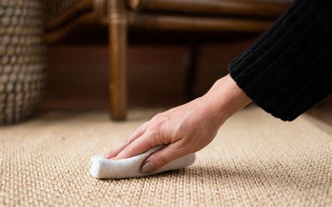 Sisal Rug Cleaning: The Definitive Guide to Maintaining Natural Beauty