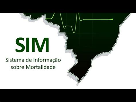 Sistema de Informação sobre Mortalidade (Siste): Guia Completo