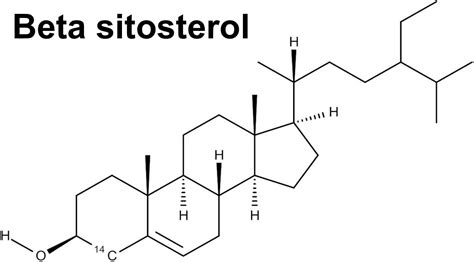 Sitosterol Beta