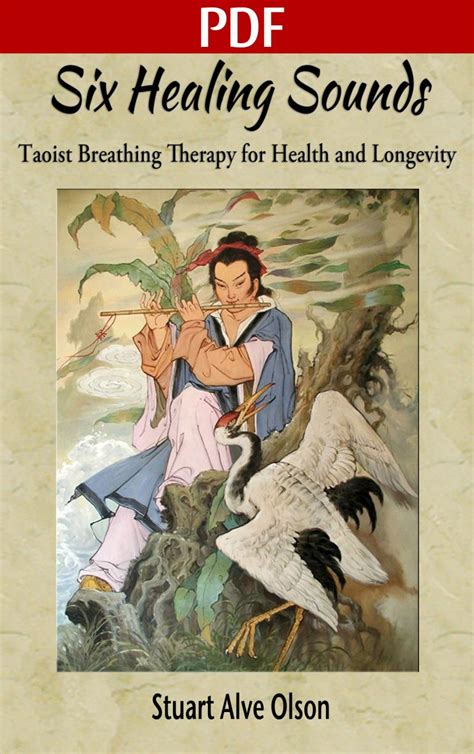 Six Healing Sounds Chinese Edition PDF