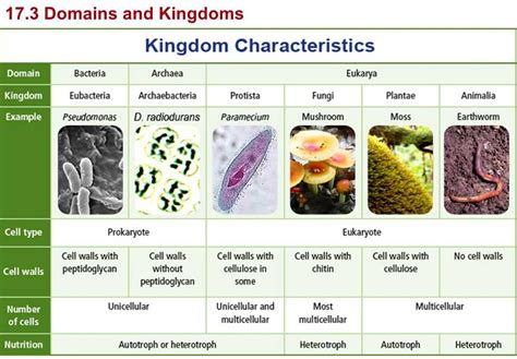 Six Kingdoms Internet Lab Key Answers Epub