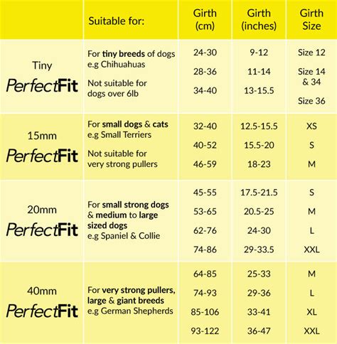 Size Matters: Perfect Fit for XL Breeds