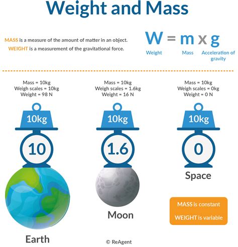 Size and Mass