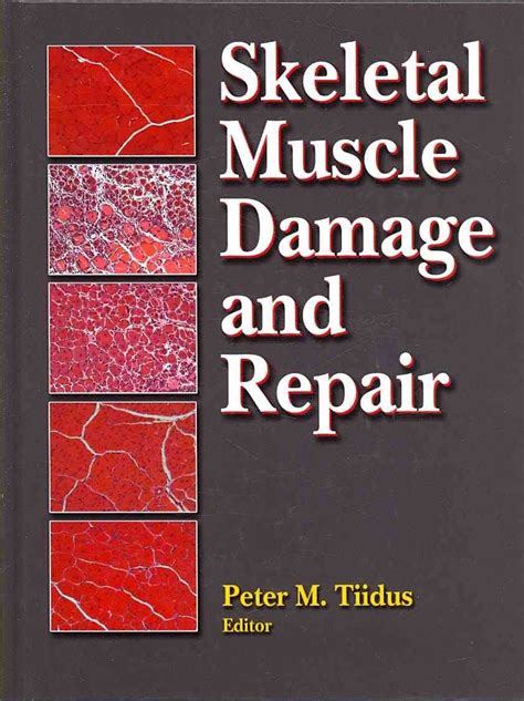 Skeletal Muscle Damage and Repair Doc