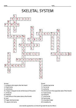 Skeletal System Crossword Puzzle Answers Doc