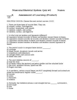 Skeletal System Quiz Multiple Choice Answers Doc