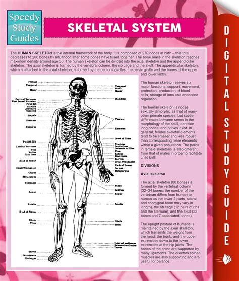 Skeletal System Speedy Study Guides Reader