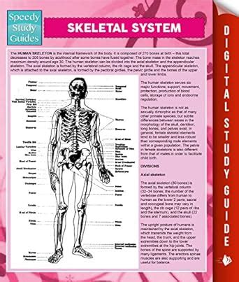 Skeletal System Speedy Study Guides Reader