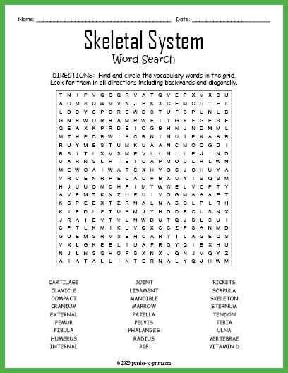Skeletal System Word Search Answer Key Reader