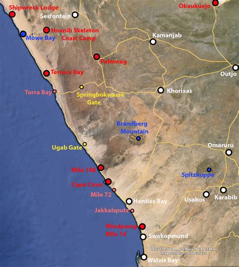 Skeleton Coast 12-Copy Solid Floor Display Epub