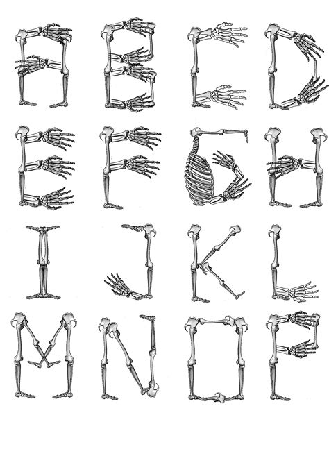Skeleton Letters PDF