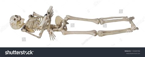 Skeleton Lying Down: Unraveling the Secrets of a Human Canvas