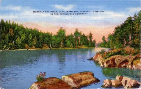 Sketch of the Flora of Vermilion Lake and Vicinity... Reader