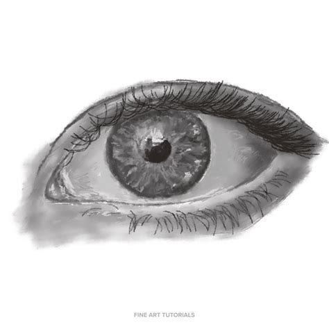 Sketching Onlygans: A Comprehensive Guide to Drawing Eyes