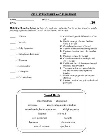 Skills Cell Structure And Function Answer Holt Doc