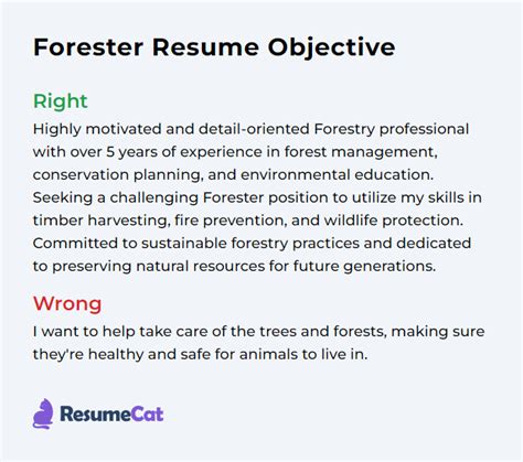 Skills Evaluated During Forestry