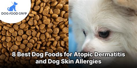 Skin Allergies Dog Food: A Comprehensive Guide for Concerned Pet Owners