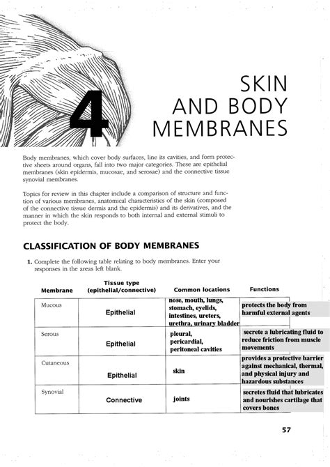 Skin And Body Membrane Packet Answers Epub