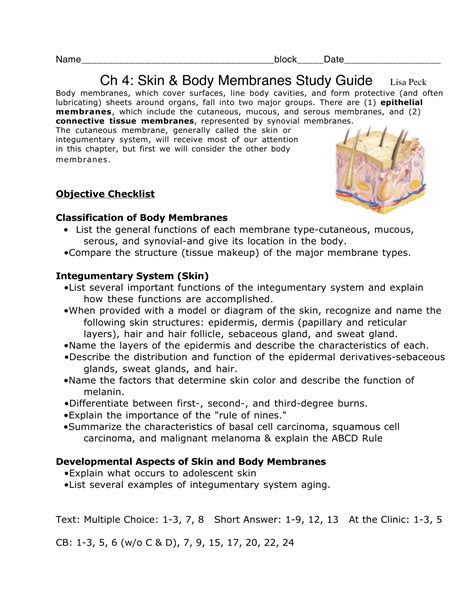 Skin And Body Membranes Answer Key Kindle Editon