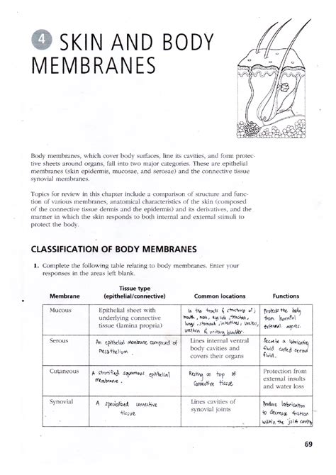 Skin Body Membranes Packet Answer Key Epub