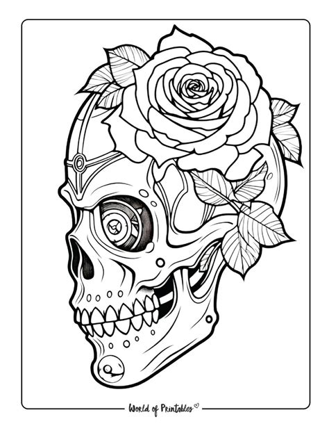 Skulls An Adult Coloring Book PDF