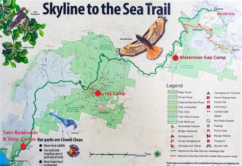 Skyline To The Sea Trail Camp Information - Big Basin Ebook Reader