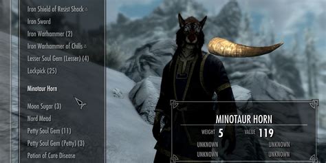 Skyrim's 10 Rarest and Most Valuable Curios: A Collector's Guide