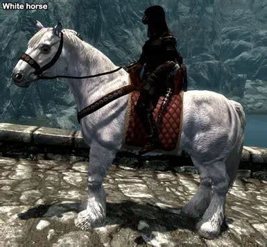 Skyrim SSE Bellyaches: Horses and You