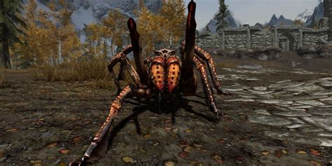 Skyrim Spiders: A Comprehensive Exploration