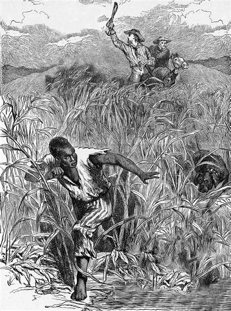 Slaves Cause History Abolition Reader