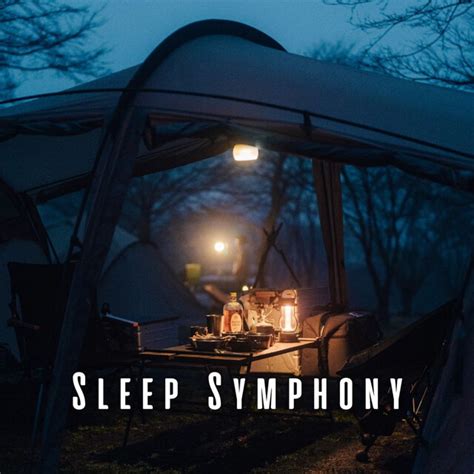 Sleep Soundly Amidst the Symphony of Rain and Thunder on Tent