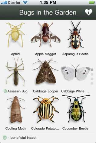 Slim, an App that Identifies 500 Bug Species - and Offers Help When Needed