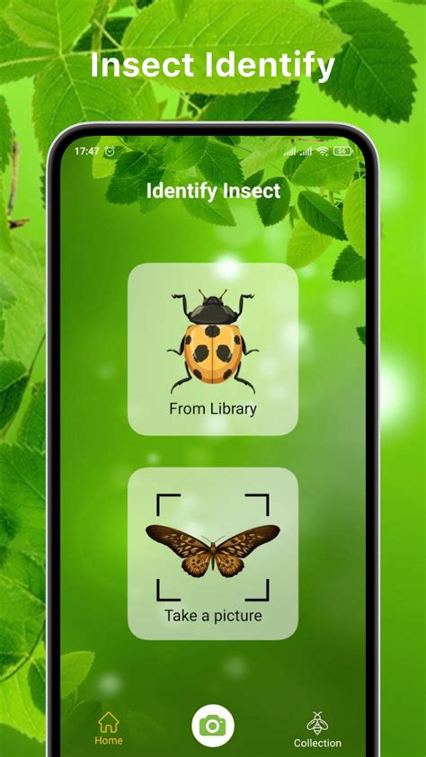 Slim 2.0: The Bug Identification App That's 2X More Accurate