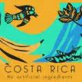 Slogan for Costa Rica: Crafting the Perfect Brand Identity