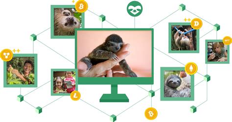 Sloth Crypto: The Low-Hanging Fruit of Crypto Investments