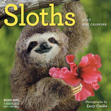 Sloths Mini Wall Calendar 2017 Kindle Editon