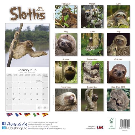 Sloths Wall Calendar 2016 Epub