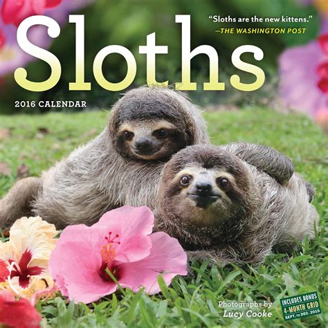 Sloths Wall Calendar 2016 PDF