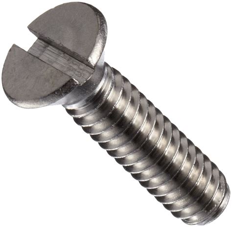 Slotted Screw