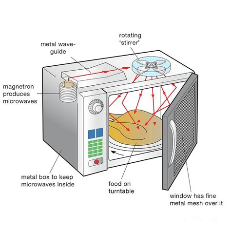 Slotted Section in Microwave: The Science Behind the Convenience