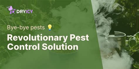 Sluggi: The Revolutionary Pest Control Solution with 99.99% Efficacy